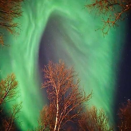 Leilighet I Nord ทรอมโซ ภายนอก รูปภาพ