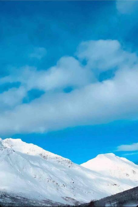 Leilighet I Nord ทรอมโซ ภายนอก รูปภาพ