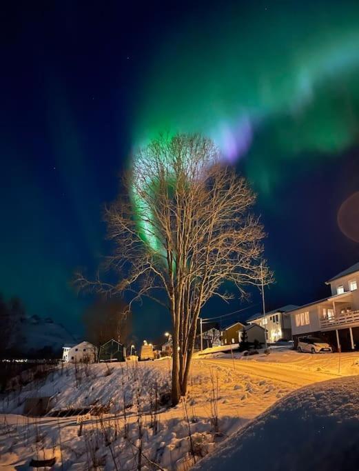 Leilighet I Nord ทรอมโซ ภายนอก รูปภาพ