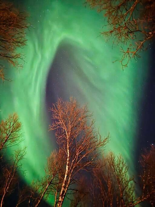Leilighet I Nord ทรอมโซ ภายนอก รูปภาพ
