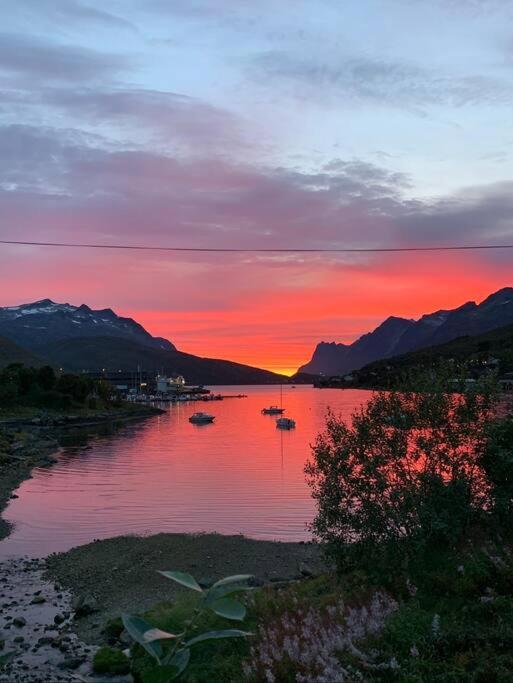 Leilighet I Nord ทรอมโซ ภายนอก รูปภาพ